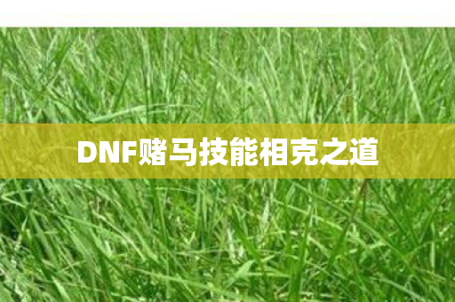 DNF赌马技能相克之道图片