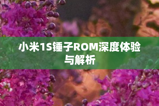 小米1S锤子ROM深度体验与解析图片