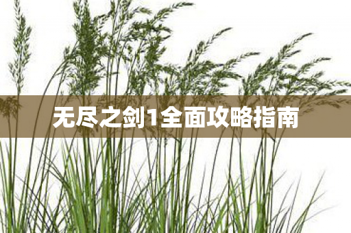 无尽之剑1全面攻略指南图片