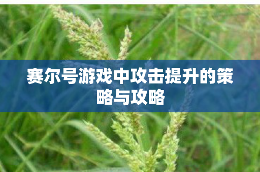 赛尔号游戏中攻击提升的策略与攻略图片