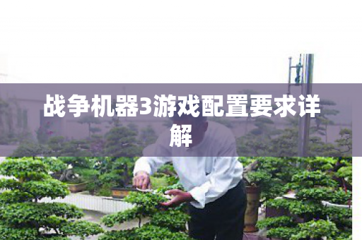 战争机器3游戏配置要求详解图片