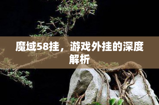 游戏外挂的深度解析图片