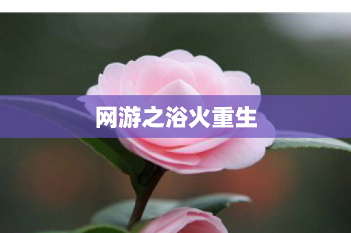 网游之浴火重生图片