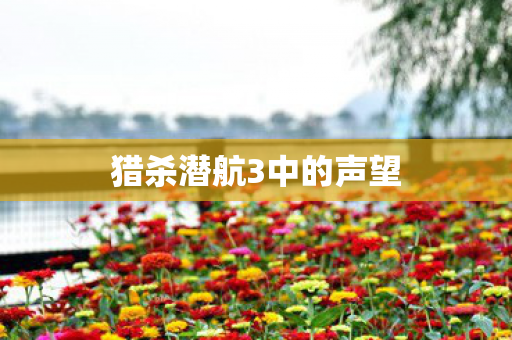猎杀潜航3中的声望图片