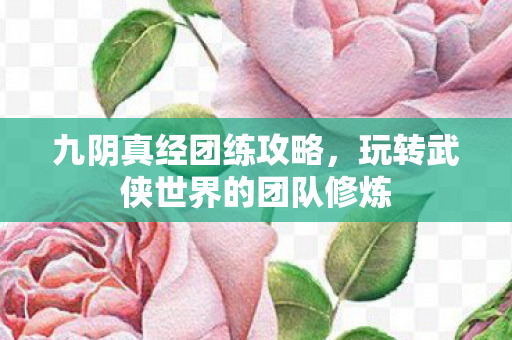 玩转武侠世界的团队修炼图片