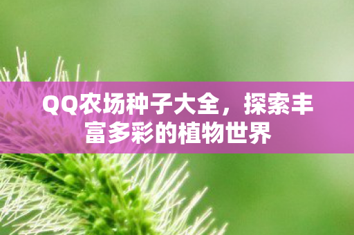 探索丰富多彩的植物世界图片