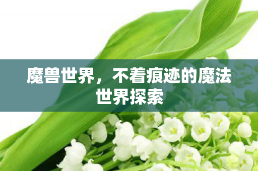 不着痕迹的魔法世界探索图片