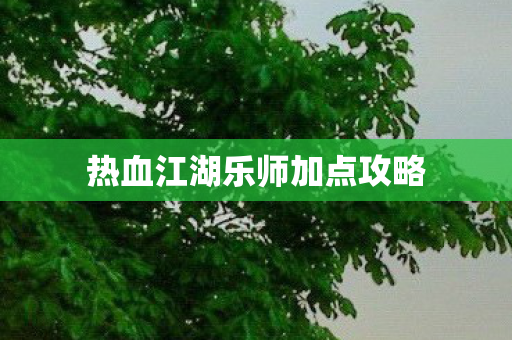 热血江湖乐师加点攻略图片