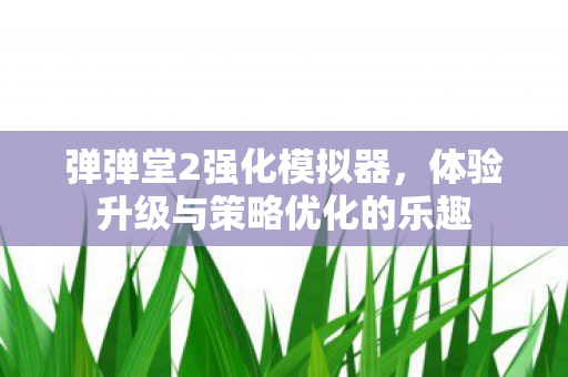 体验升级与策略优化的乐趣图片