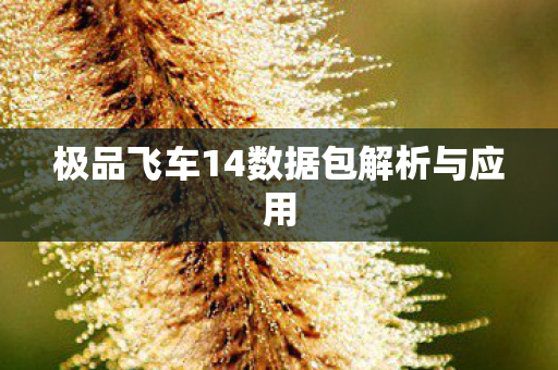极品飞车14数据包解析与应用图片