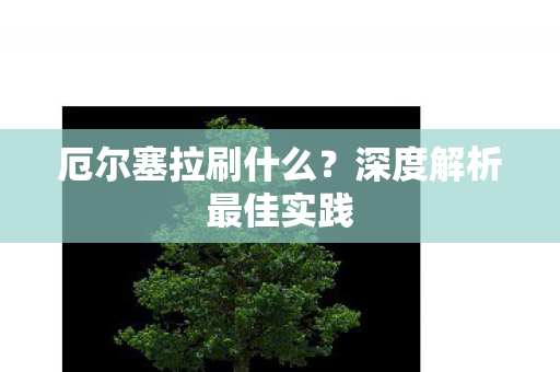 深度解析最佳实践图片