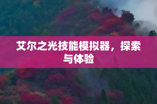 艾尔之光技能模拟器图片