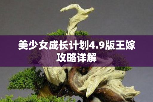 美少女成长计划4图片