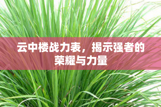 揭示强者的荣耀与力量图片