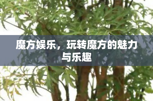 玩转魔方的魅力与乐趣图片