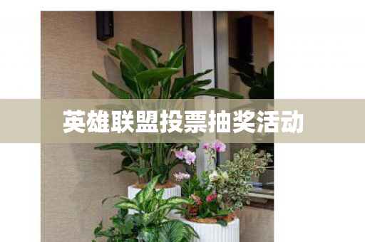 英雄联盟投票抽奖活动图片