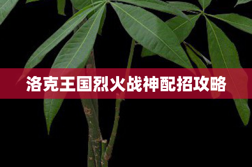 洛克王国烈火战神配招攻略图片
