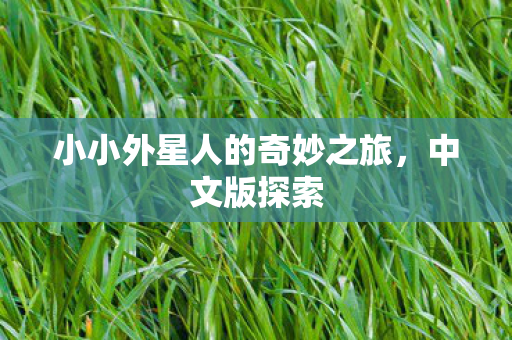 小小外星人的奇妙之旅图片
