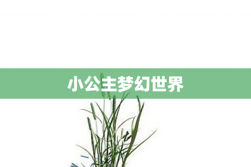 小公主梦幻世界图片