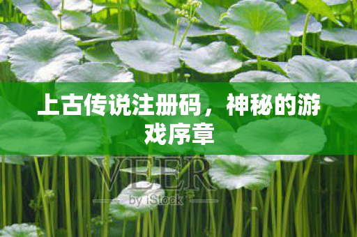 上古传说注册码图片