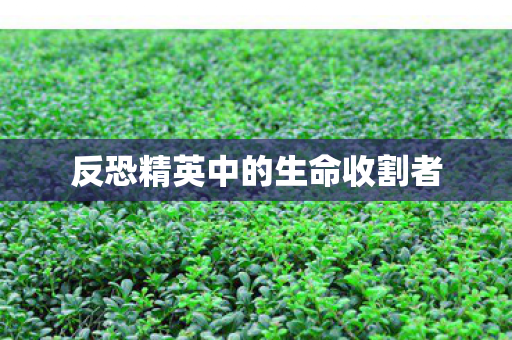 反恐精英中的生命收割者图片