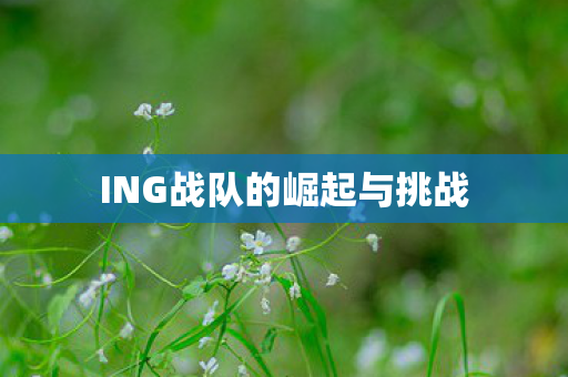 ING战队的崛起与挑战图片