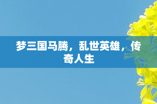 梦三国马腾图片