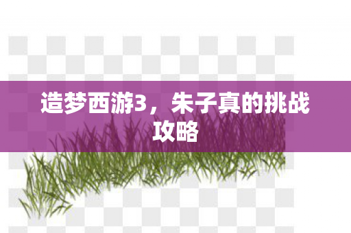 朱子真的挑战攻略图片