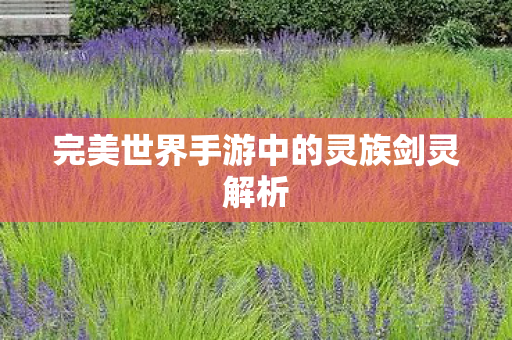 完美世界手游中的灵族剑灵解析图片