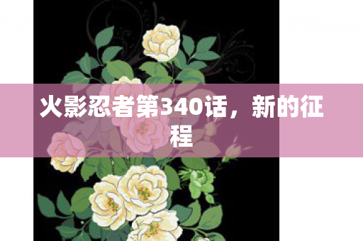 火影忍者第340话图片