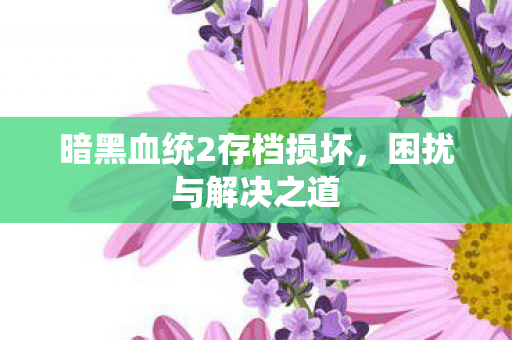 暗黑血统2存档损坏图片