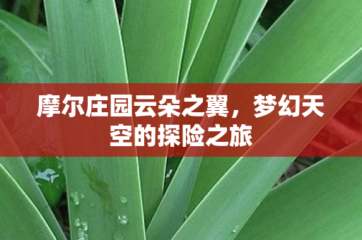 梦幻天空的探险之旅图片