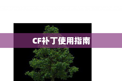 CF补丁使用指南图片
