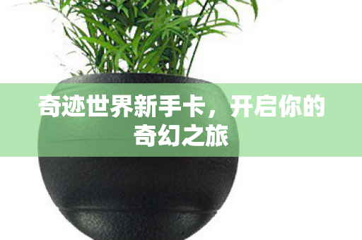 开启你的奇幻之旅图片