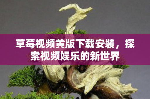 草莓视频黄版下载安装图片