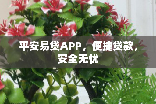 平安易贷APP图片