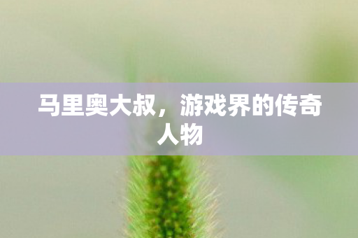 游戏界的传奇人物图片