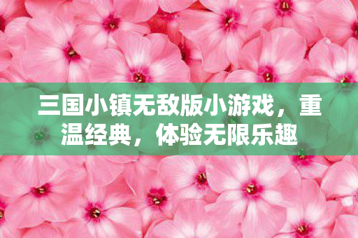 三国小镇无敌版小游戏图片