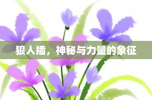 神秘与力量的象征图片