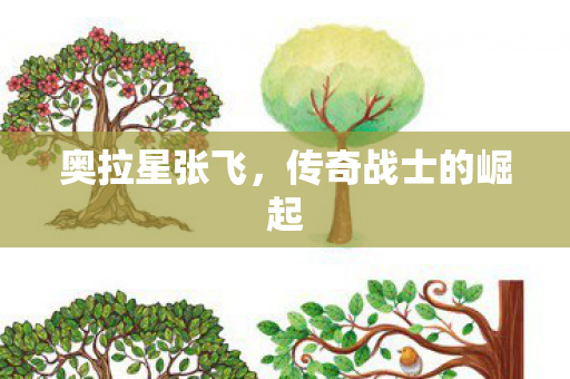 传奇战士的崛起图片