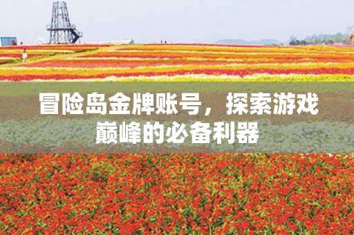 探索游戏巅峰的必备利器图片