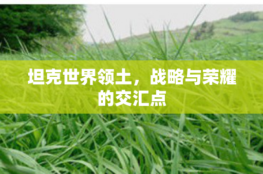战略与荣耀的交汇点图片