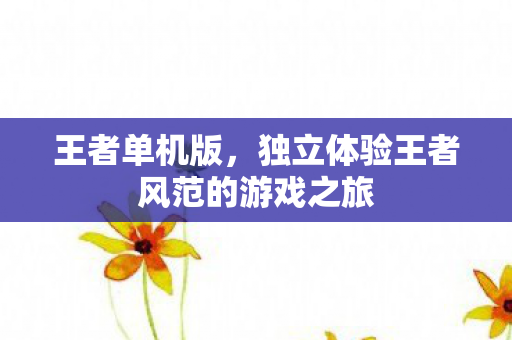 独立体验王者风范的游戏之旅图片