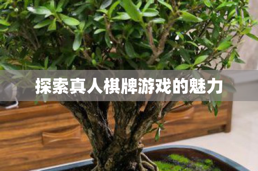 探索真人棋牌游戏的魅力图片