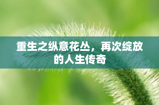 再次绽放的人生传奇图片