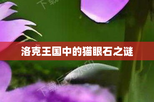 洛克王国中的猫眼石之谜图片