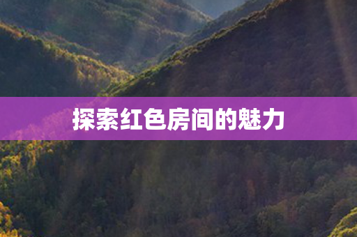 探索红色房间的魅力图片