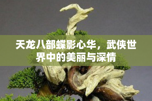 武侠世界中的美丽与深情图片