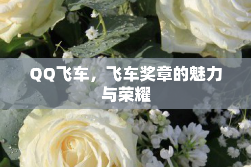 飞车奖章的魅力与荣耀图片