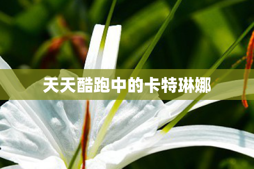 天天酷跑中的卡特琳娜图片